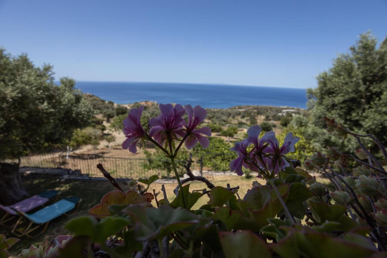 Manolis' House Villa Agia Paraskevi  Exterior foto